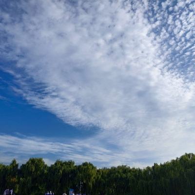 航海王启航百度版下载